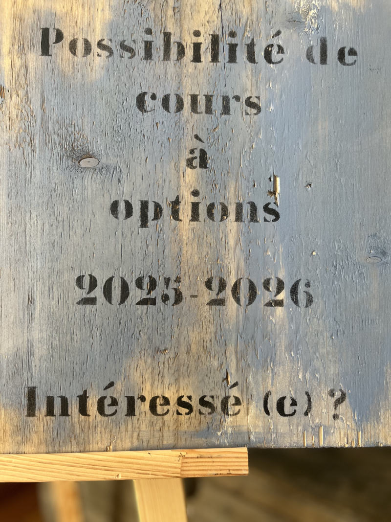 Cours à options / WAHLKURSE