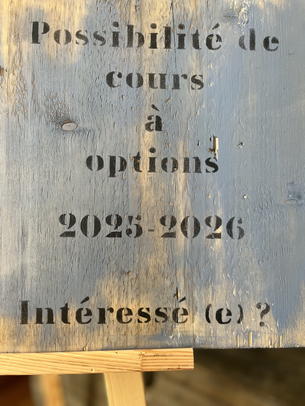 Cours à options / WAHLKURSE