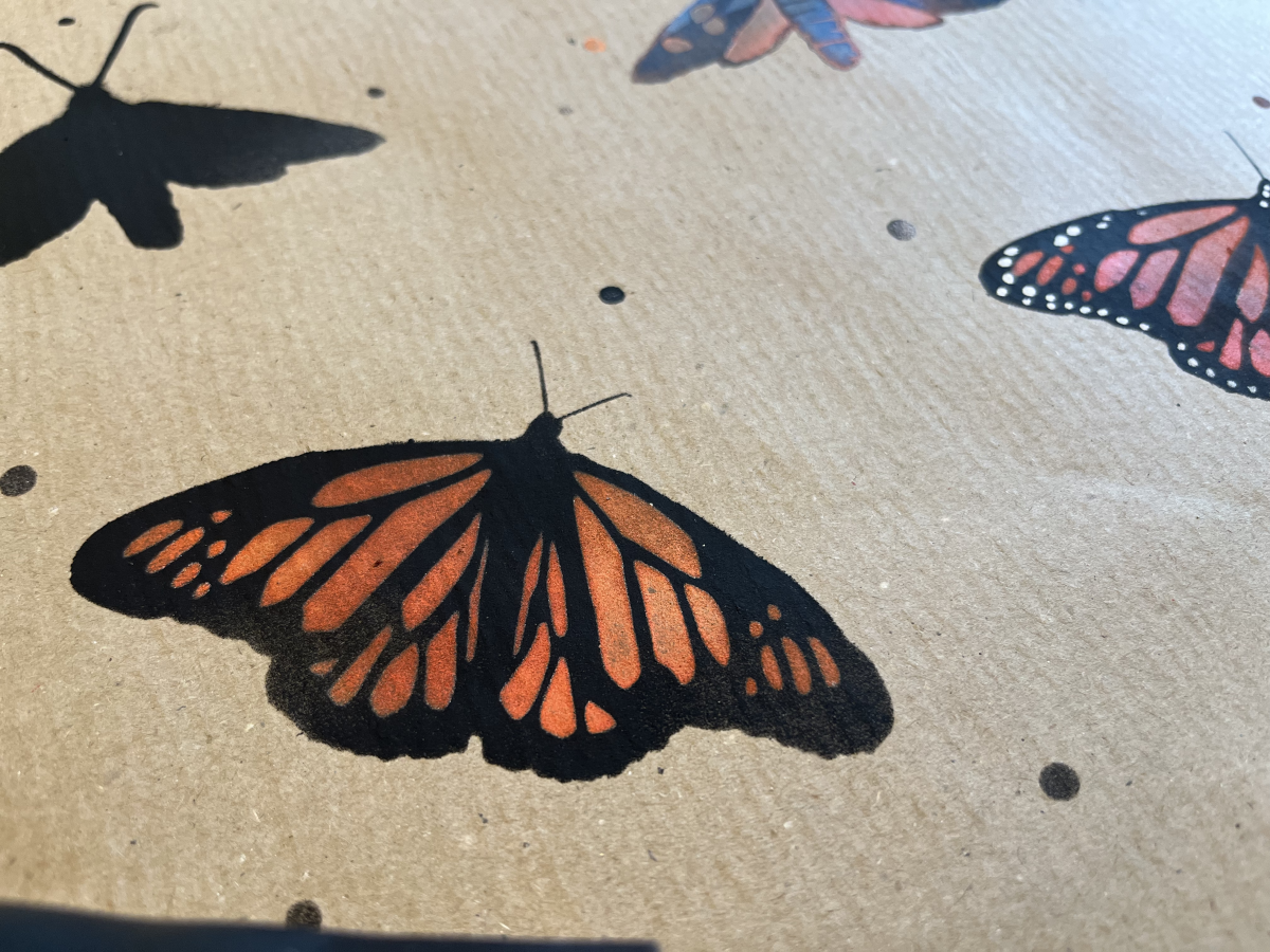 PAPILLORAMA 